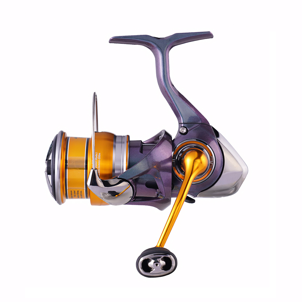 24 DAIWA REGAL CS LT Spinning  - Fishing Equipment Daiwa 评论和价格