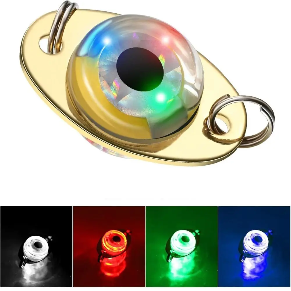 Waterproof Underwater Fishing  - Fishing Equipment Fly 评论和价格
