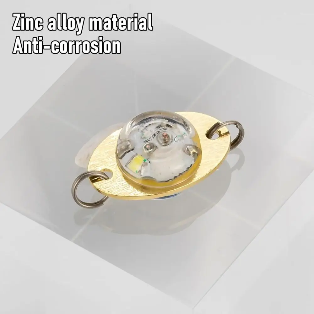 Waterproof Underwater Fishing  - Fishing Equipment Fly 评论和价格
